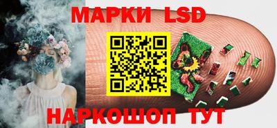2c-b Кингисепп