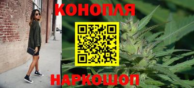 2c-b Кингисепп