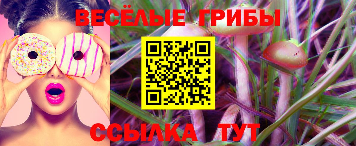 Галлюциногенные грибы Magic Shrooms Кашира