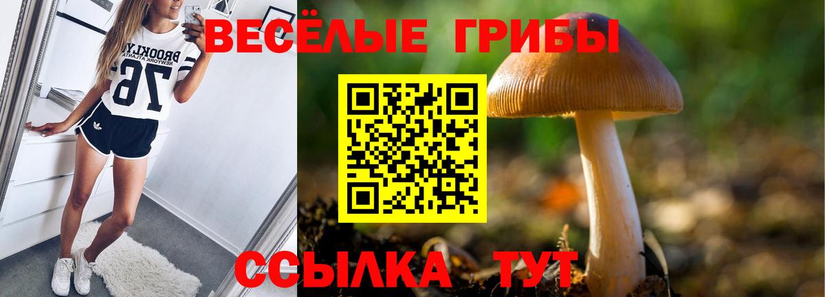 Кашира  Псилоцибиновые грибы GOLDEN TEACHER  Вход с VPN 